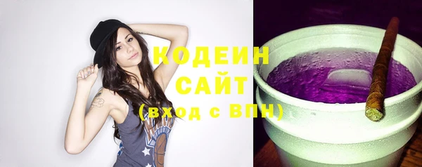 гашик Пестово