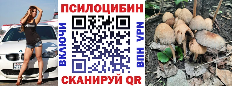 Псилоцибиновые грибы Psilocybe  Учалы 