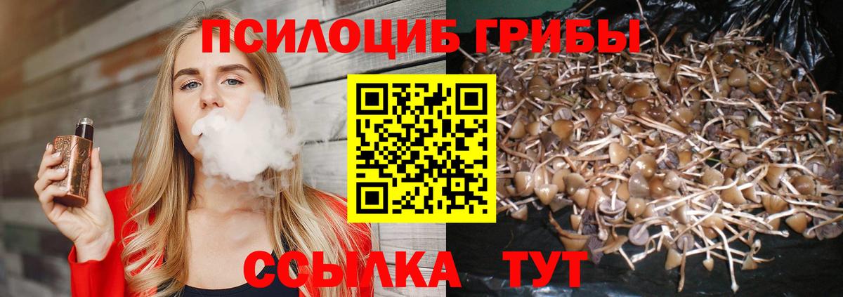 Псилоцибиновые грибы Cubensis Учалы